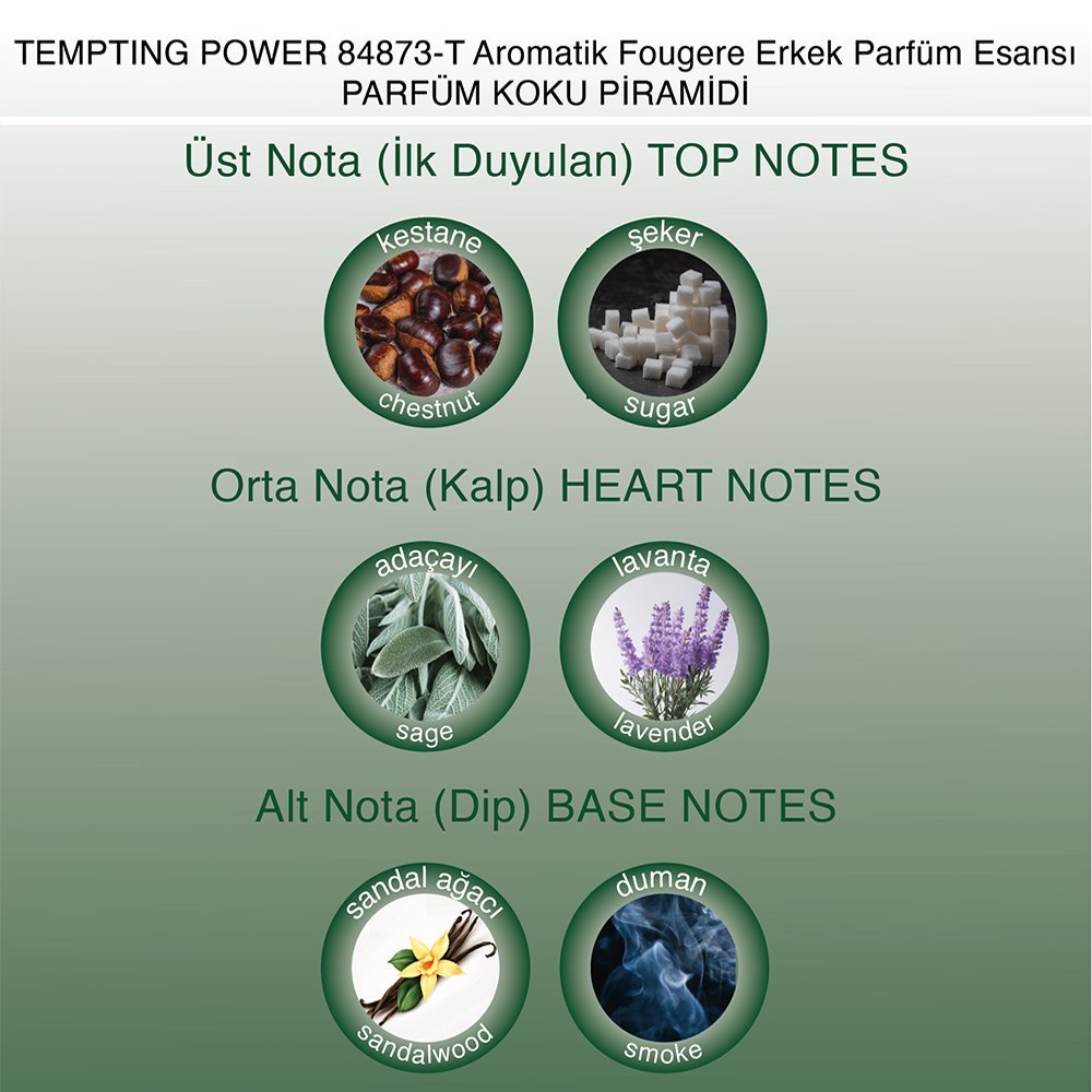 tempting-power-84873-t-aromatik-fougere-erkek-parfum-esansi_doruk_esans_parfum_koku piramidi_ tempting-power-84873-t-aromatik-fougere-erkek-parfum-esansi_doruk_esans_parfum_koku piramidi_