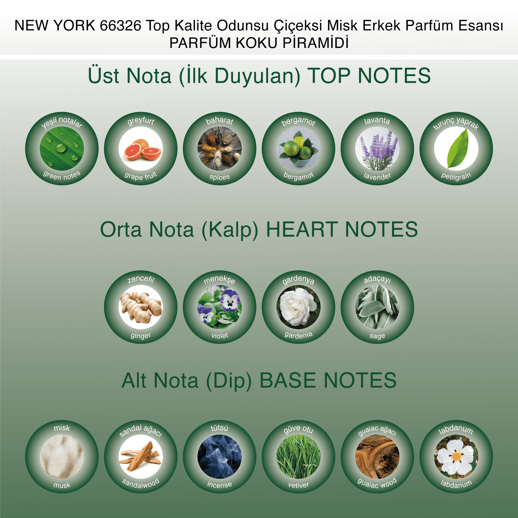 new-york-66326-top-kalite-odunsu-ciceksi-misk-erkek-parfum-esansi-koku-piramidi_ new-york-66326-top-kalite-odunsu-ciceksi-misk-erkek-parfum-esansi-koku-piramidi_